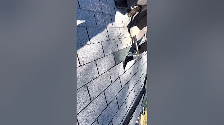 Virginia Ross repair attempt
