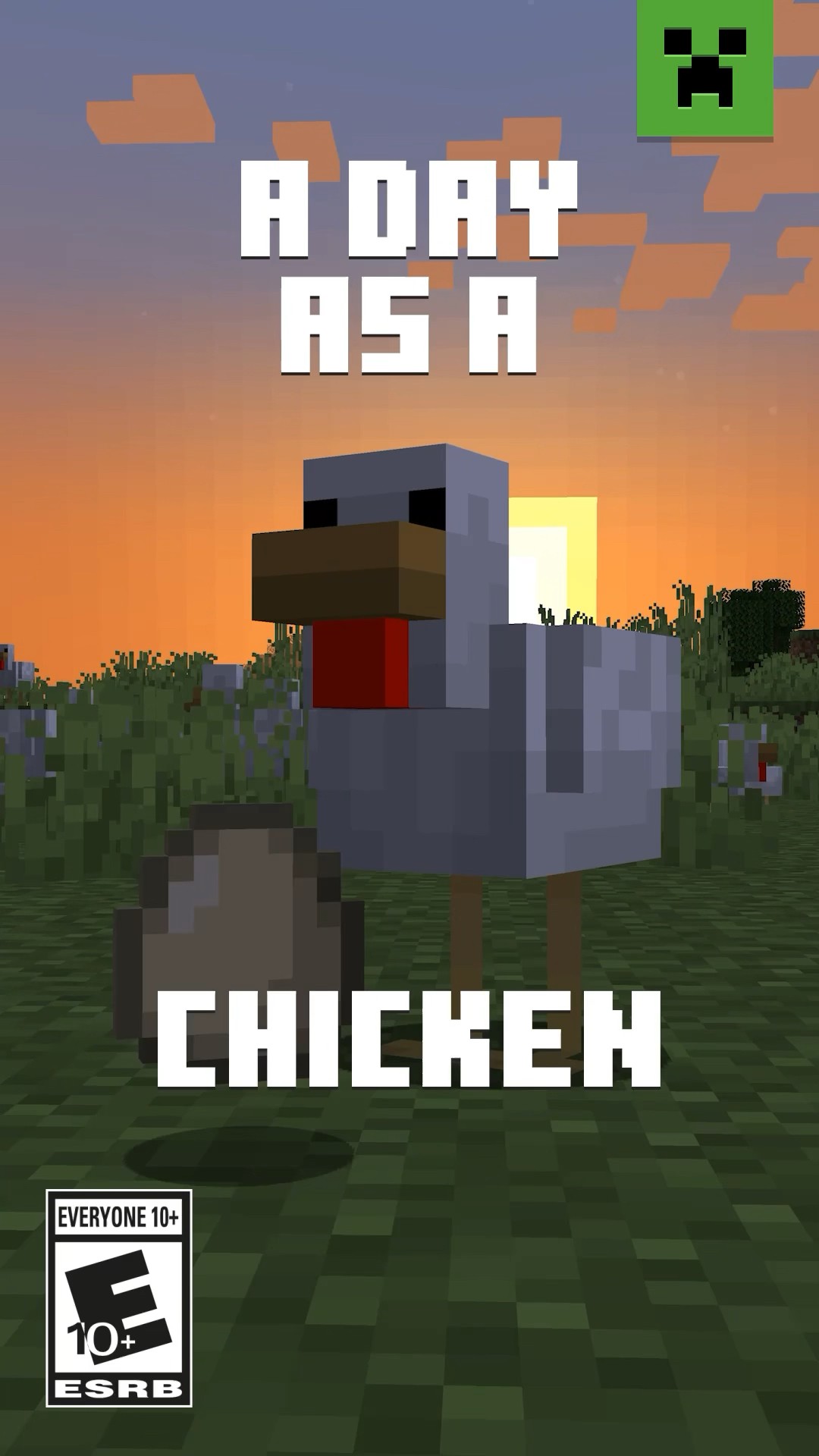 A DAY AS A CHICKEN!