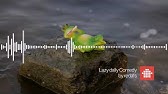 Funny Quirky Comedy (Free Download Background Music) - YouTube