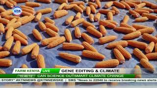 Gene Editing \& Climate(part 2) || Farm Kenya
