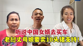 中國女婿買新車老撾丈母娘非要賣豬幫忙4千萬老幣夠用不