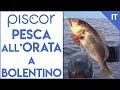 Come pescare le orate a bolentino. Quale montatura utilizzare