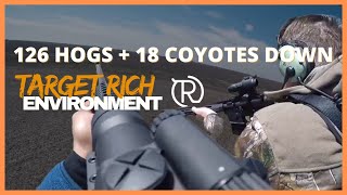 126 Hogs + 18 Coyotes Down | Target Rich Environment