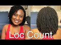 How Many Locs I Have | Sisterlocks