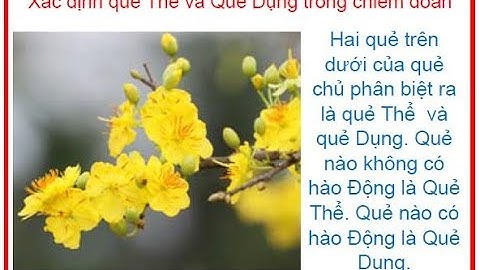 So bó đũa chọn cột cờ nghĩa là gì