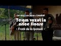 Te-am văzut în orice floare | Frații din Ipotești