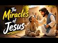 The Miracles of Jesus Animated Bible Movie