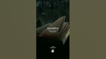 فيهما عينان تجريان بصوت عبدالمؤمن البركاني & سورة الرحمن