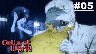 [Hindi Dub] Cells at Work! - Episode 05 (S1E05)  | Muse IN