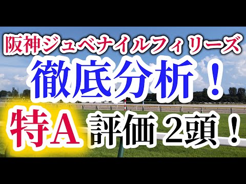 【阪神ジュベナイルフィリーズ2023】ペースが流れる激流G1！馬券的中のポイントはレース回顧と時計比較！阪神JFの注目の出走予定馬を徹底考察！