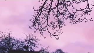 Yasmin Levy _ Este Mundo