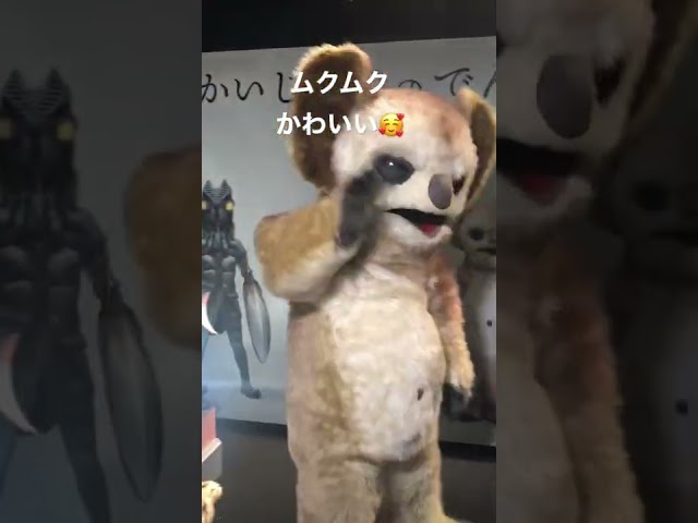 ガチャガチャムクムクケロポンズ