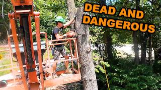 Cheaper Than Hiring a Professional - I Rented a 90 Foot Lift!
