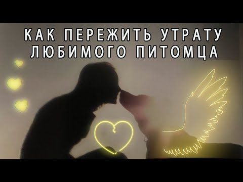 КАК ПЕРЕЖИТЬ УТРАТУ ЛЮБИМОГО ПИТОМЦА