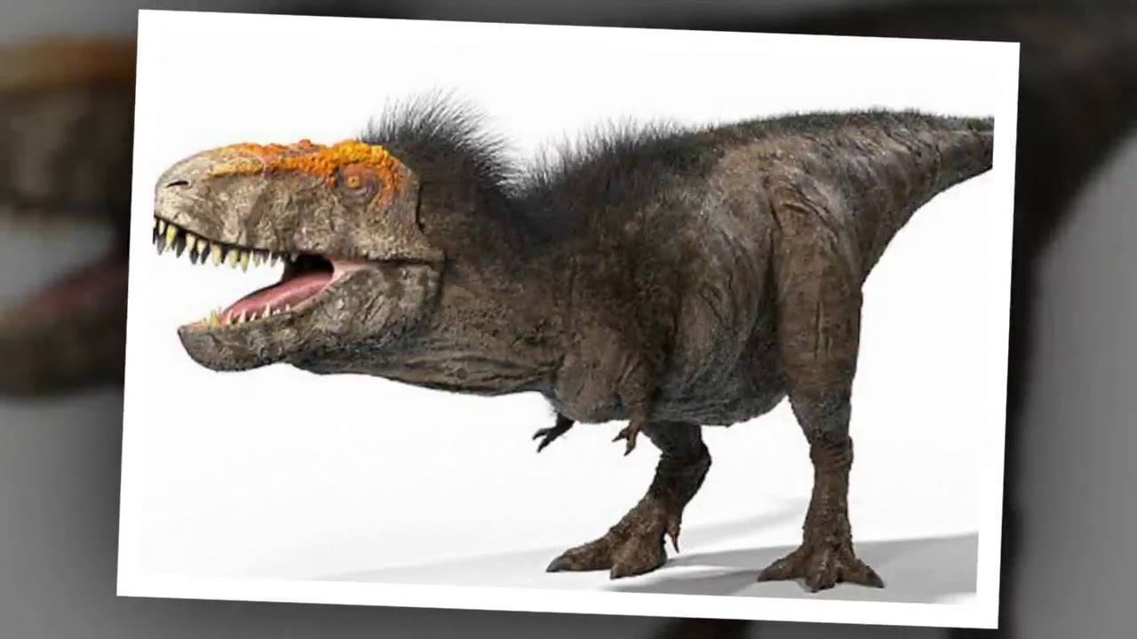 T-rex 'was ginger with freckles, feathers and had an unimpressive roar' dinosaur experts claim