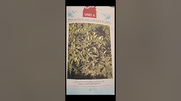 Grade 6 science Unit#4 photosynthesis & respiration in plants