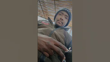 ولاية اليزي 