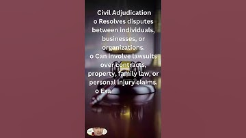 Civil adjudication