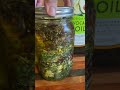 Homegrown Herb Infused Oil for Skin Care (recipe link in description)