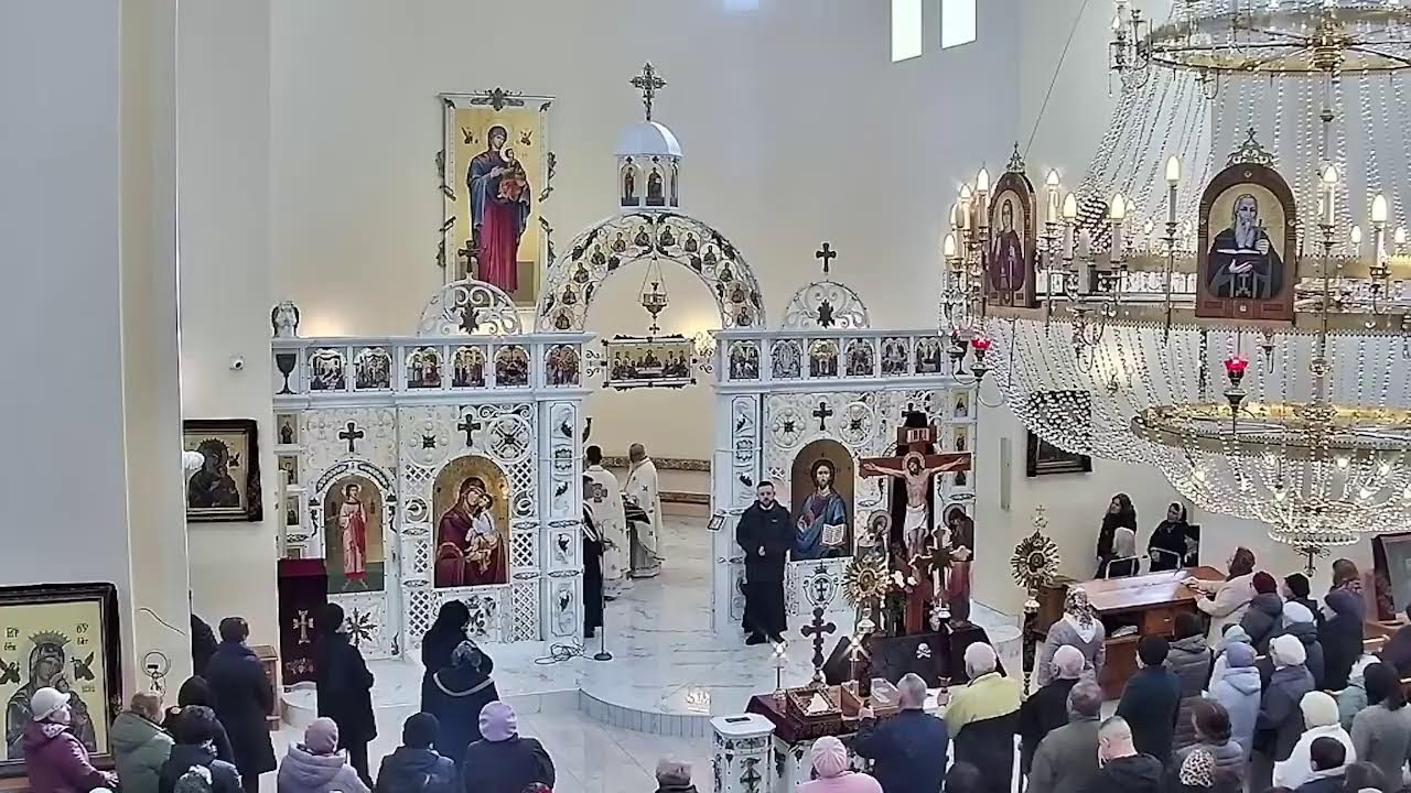 Трансляція