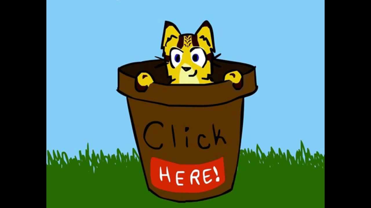 Images Of Warrior Cats In Real Life Images Of Warrior Cats In Real Life