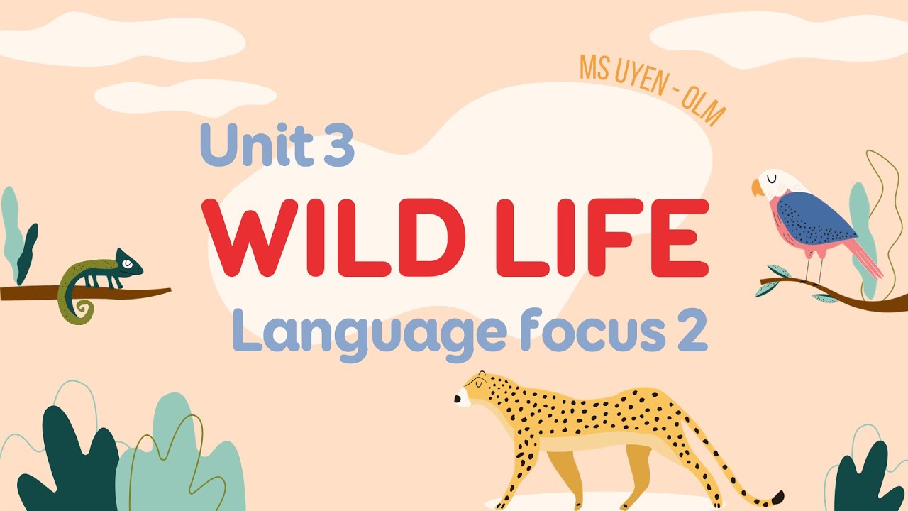 Unit 3: Wild life - Language focus 2 - Friends Plus 6 [OLM.VN]