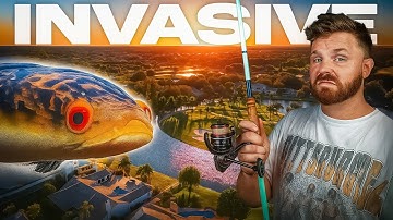 De WAARHEID over Snakehead - Drie dagen jagen op de meest invasieve vis in de VS
