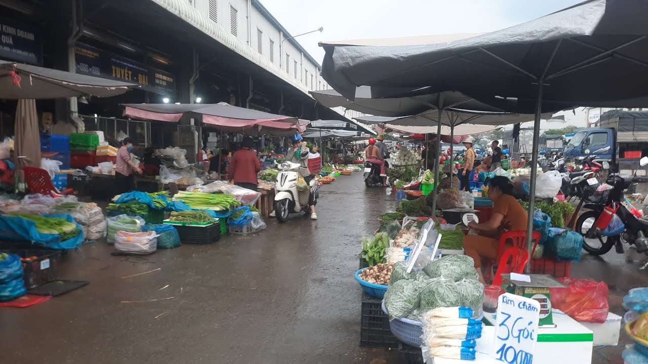 Thôi rồi khu rau sáng mùng 10 mưa bảo chợ đầu mối bình điền quá ế rau lan 5k cà chua 10k dưa leo 15k