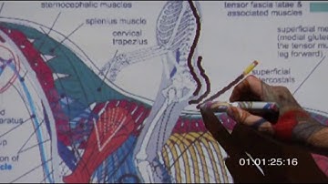 90% of Women in Male Saddles - Fit Tip Courtesy of Saddlefit4Life