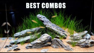 3 Aquascape Combos That Always Work And Why