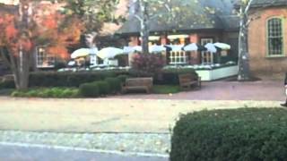 VID00781