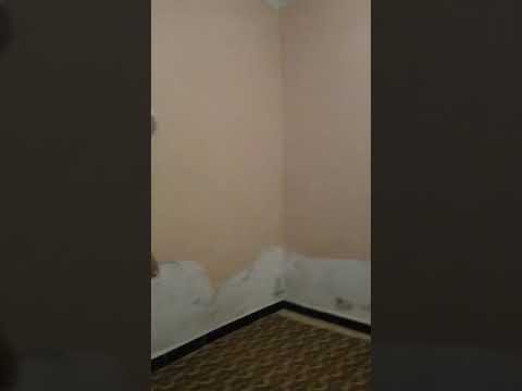 مشهد مضحك حكمة حرفة معرفة