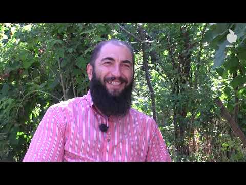 ვაჟა ფშაველა და გორი