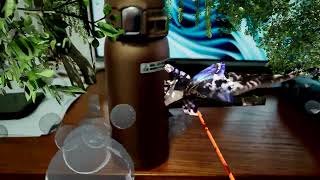Celebrity AR UE5 MMD Custom Depth Buffer Test Net Worth