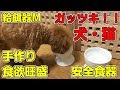安全食器 ワンちゃん、ネコちゃん 給餌器 陶器（手作り）フードボウル Ｍ