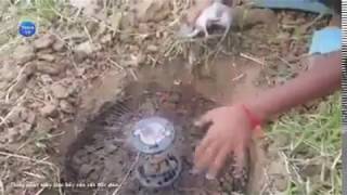 Gokil Lihat Gadis Kecil Ini Menjebak Ular Berbisa