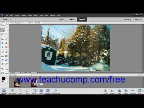 Photoshop Elements 2019 Tutorial The Photo Bin Adobe