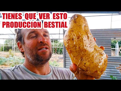 COMO CULTIVAR EL