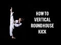 HOW TO HIGH ROUNDHOUSE KICK | Kick Higher (Vertical Round House)