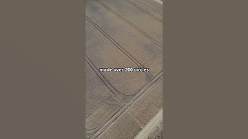 Crop Circles: Unraveling the Mysterious Patterns | True Crime Shorts