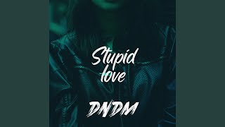 Stupid Love