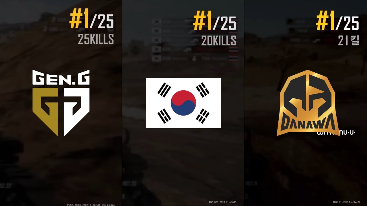 역대 배그 한국팀 20킬 이상 치킨 TOP 5