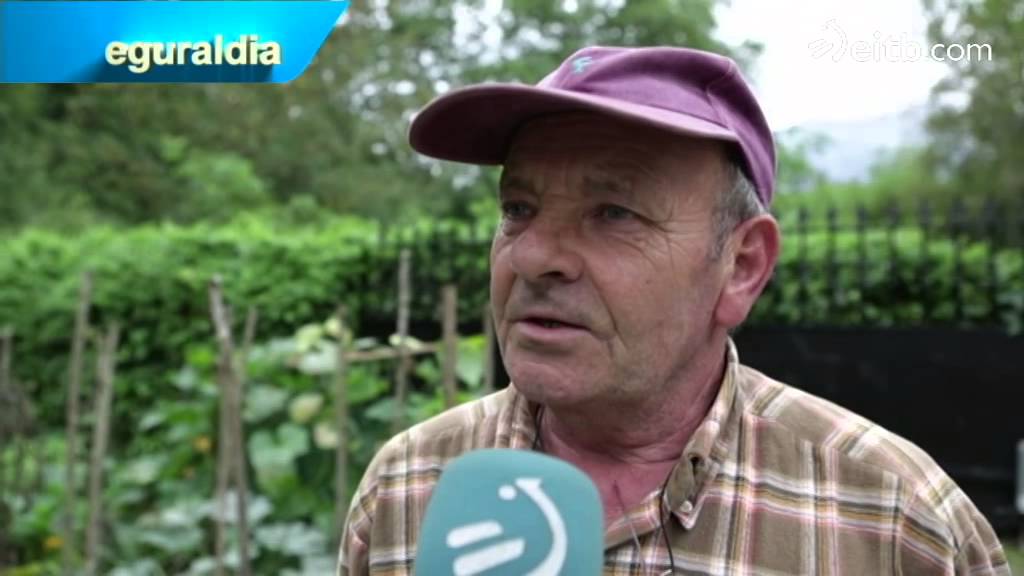 ¿Qué tiempo suele hacer en Araitz?