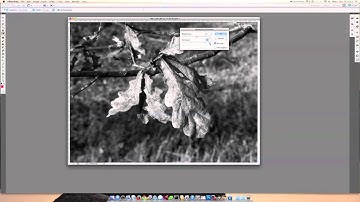 Turn a photo Black & White in Adobe Photoshop CS5