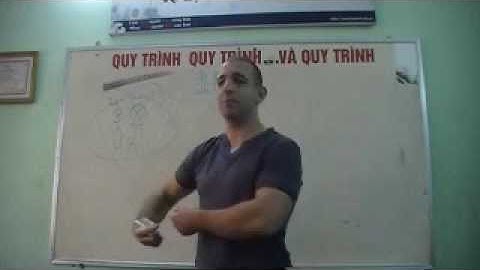 ALG Vietnamese Linguistics Part 2