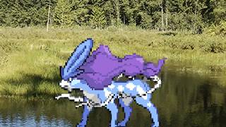 Pondside Pokémon lofi music for peaceful forest focus screenshot 5