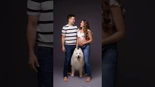 Of course our dog had to join the maternity photoshoot 🥹 #dog #samoyed #photoshoot #pregnant