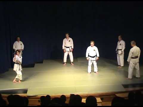 Seibukan at Koryu 2009, part 2