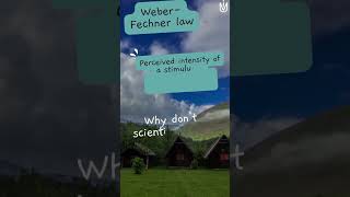 The Weber-Fechner Law How Your Brain Perceives Sensory Input Weber-Fechner Law