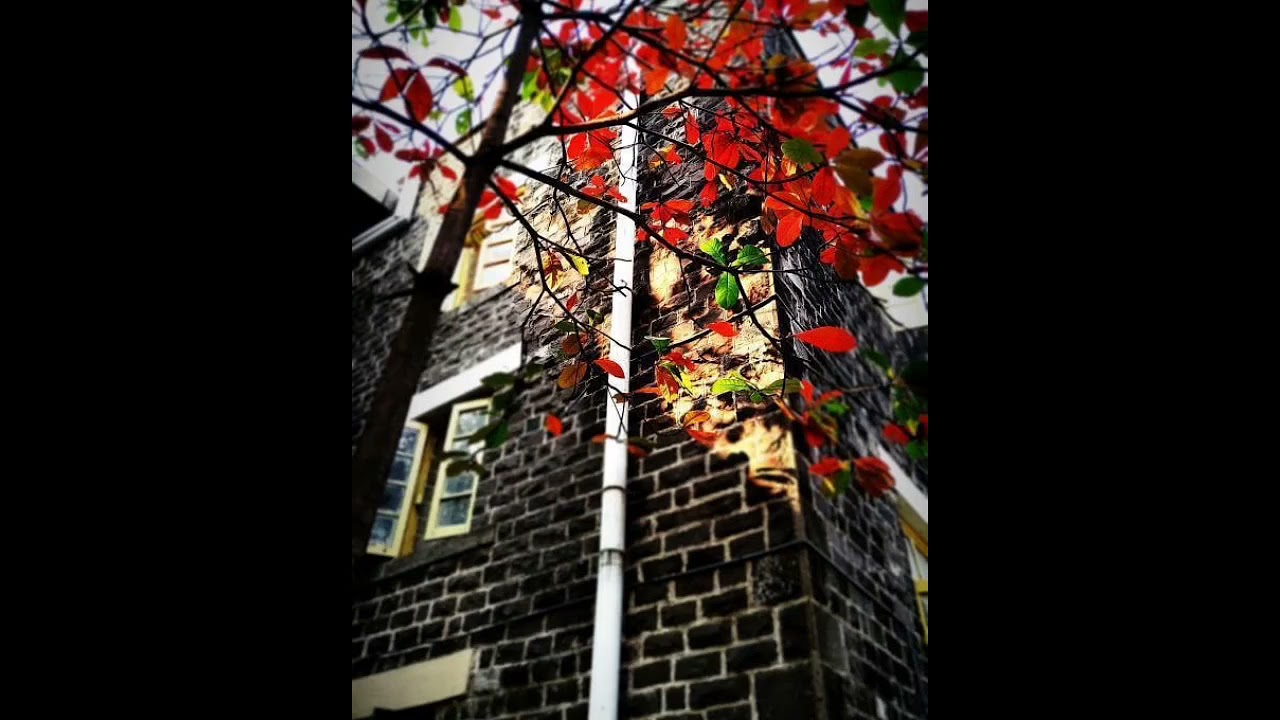 Beauty OF CoEP🤩🤩🤩